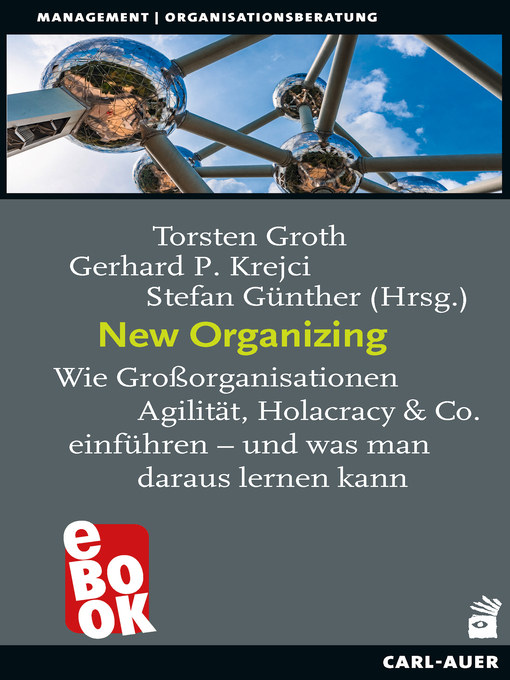 Title details for New Organizing by Torsten Groth - Available